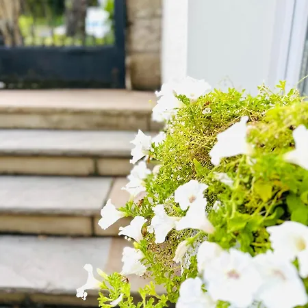 Mola Apartments- Trendiges In Der City-naehe Dortmund-terrasse-3 Gaeste-wlan 公寓