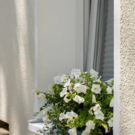 Mola Apartments- Trendiges In Der City-naehe Dortmund-terrasse-3 Gaeste-wlan Herdecke